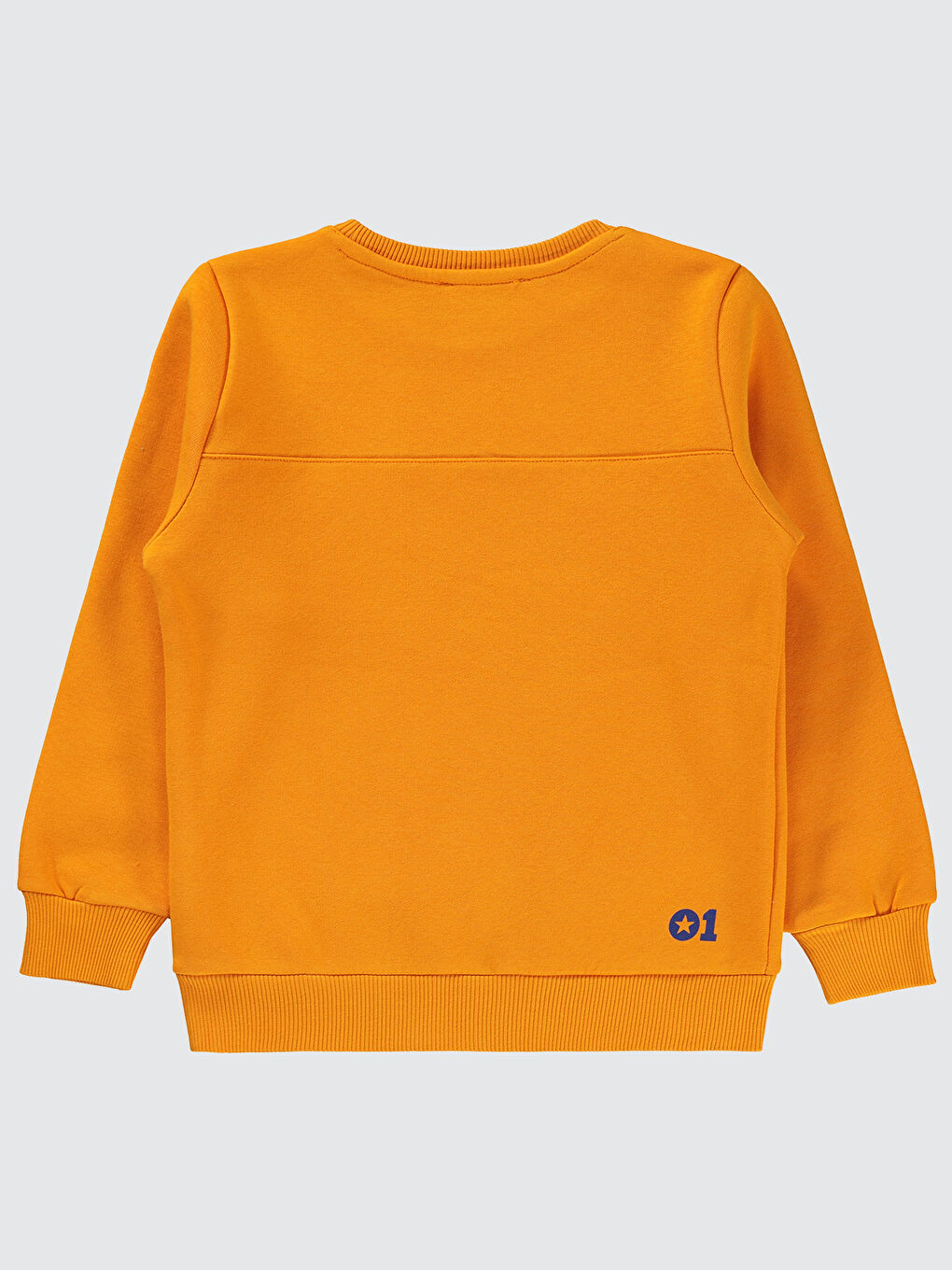Turuncu Erkek Çocuk Sweatshirt 6-9 Yaş Açık Oranj-1