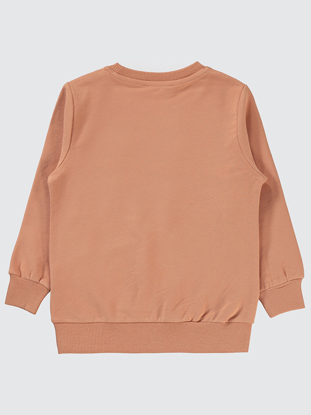 Kahverengi Erkek Çocuk Sweatshirt 2-5 Yaş Kiremit-1