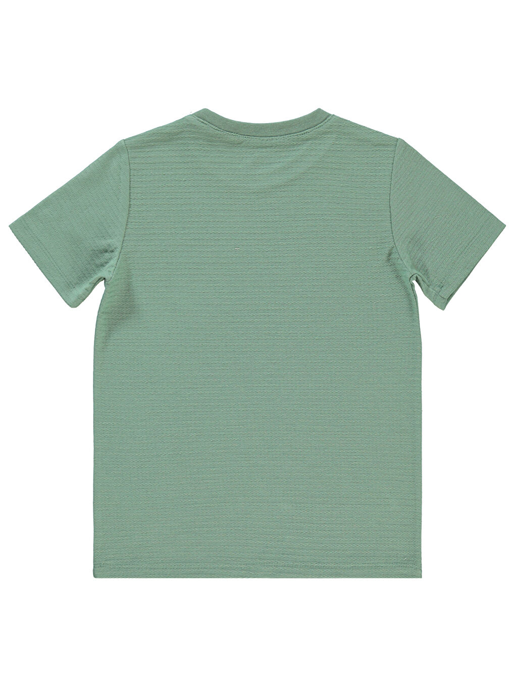 Boys Erkek Çocuk Tişört 6-9 Yaş Soft Haki-1