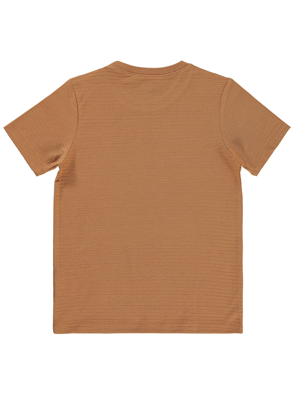 Kahverengi Boys Erkek Çocuk Tişört 6-9 Yaş Tarçın-1