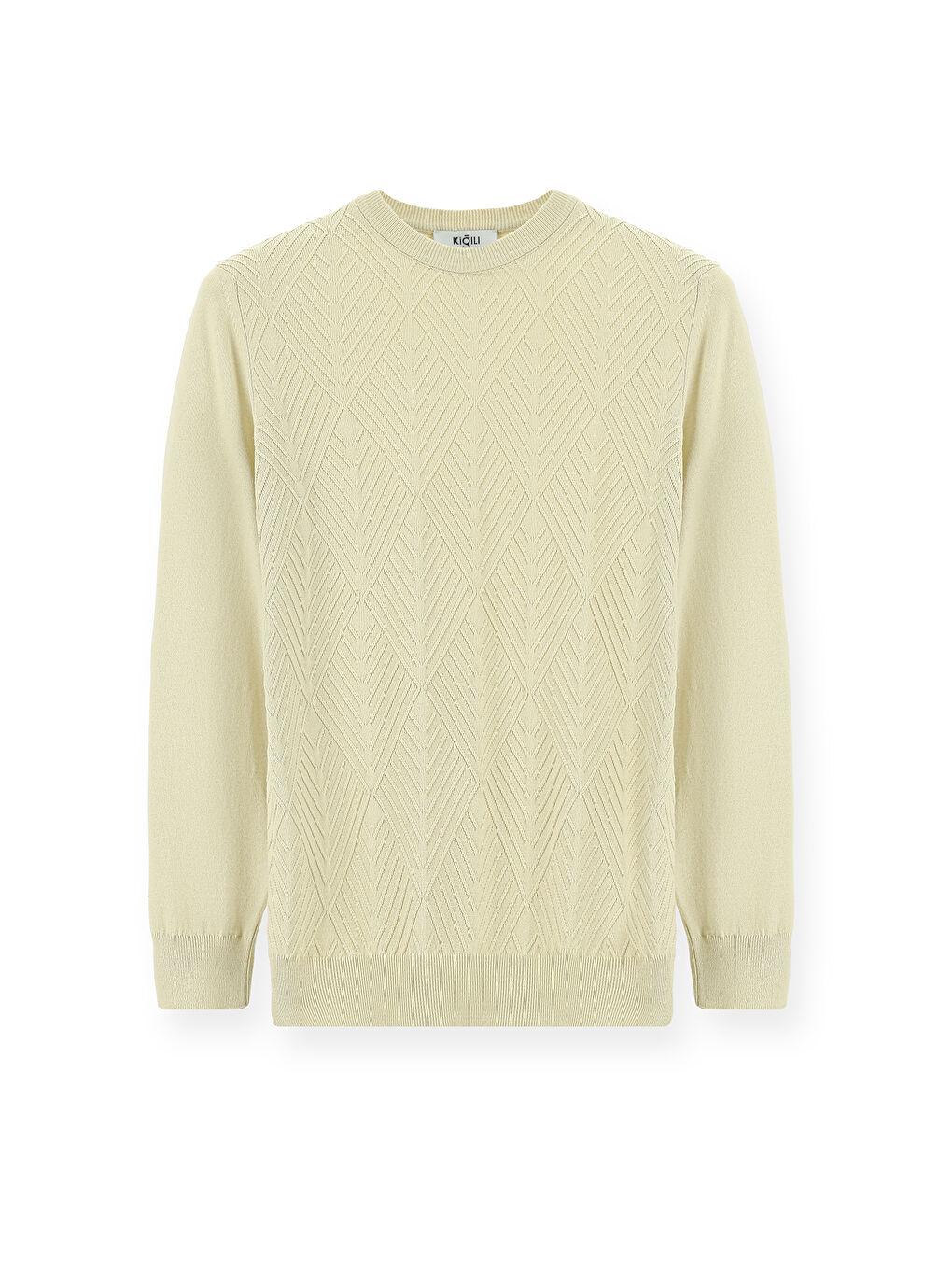 Bej Bisiklet Yaka Slim Fit Dar Kesim Desenli Pamuklu Triko Büyük Beden Kazak-5