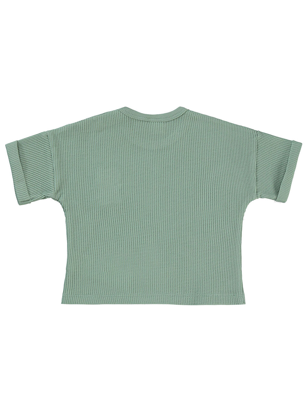 Baby Erkek Bebek Tişört 6-18 Ay Çağla Yeşili-1