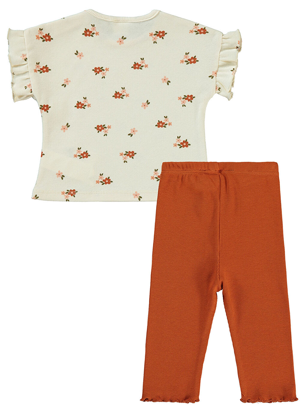 Bej Baby Kız Bebek Takım 6-18 Ay Fil Dişi-1