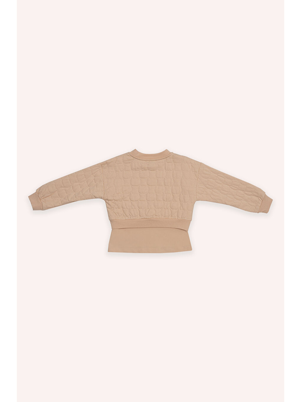 Pembe Kız Çocuk Kedi Kapitoneli Somon Sweatshirt-2