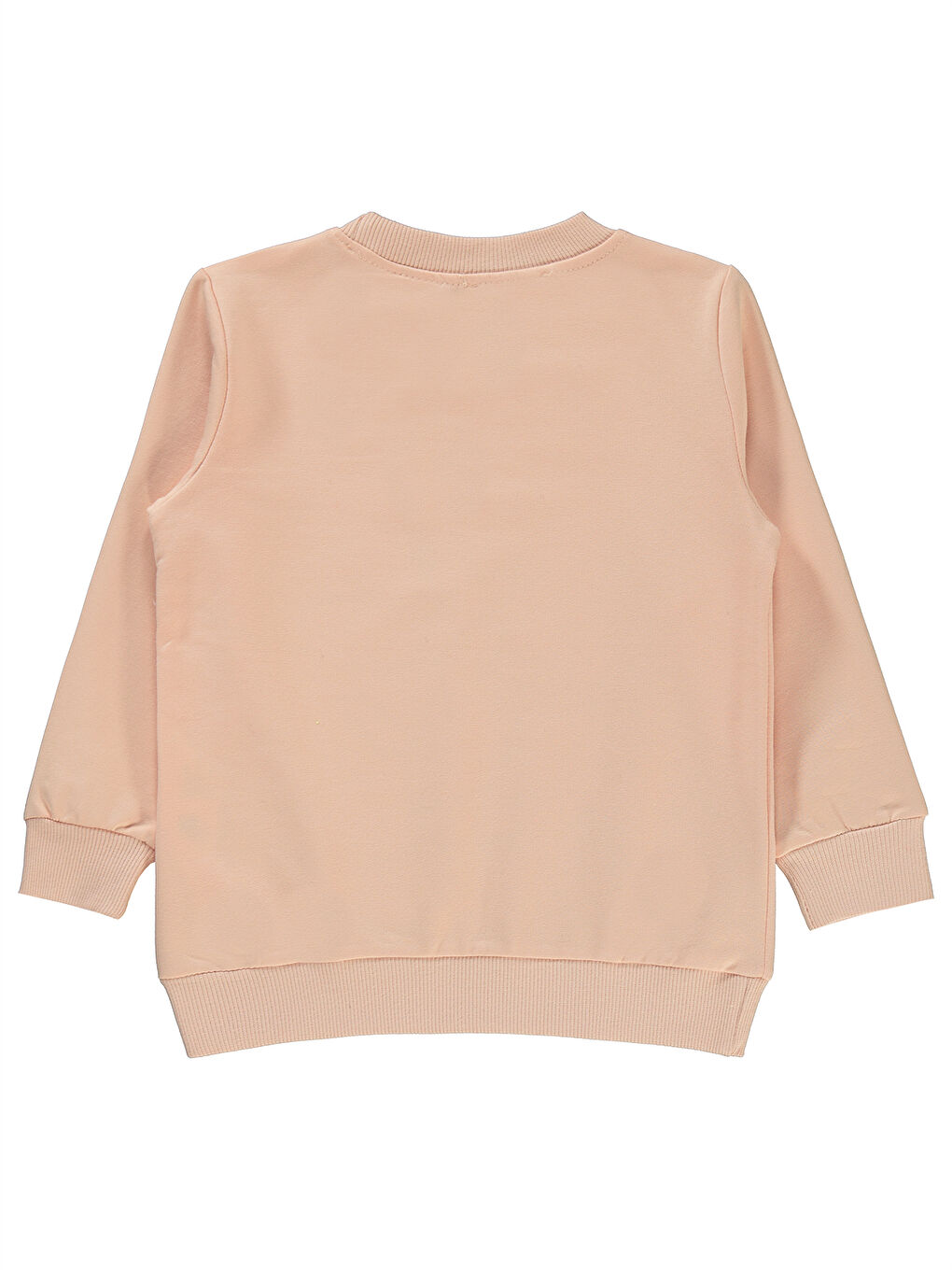 Tweety Kız Çocuk Sweatshirt 2-5 Yaş Pembe Kil-1