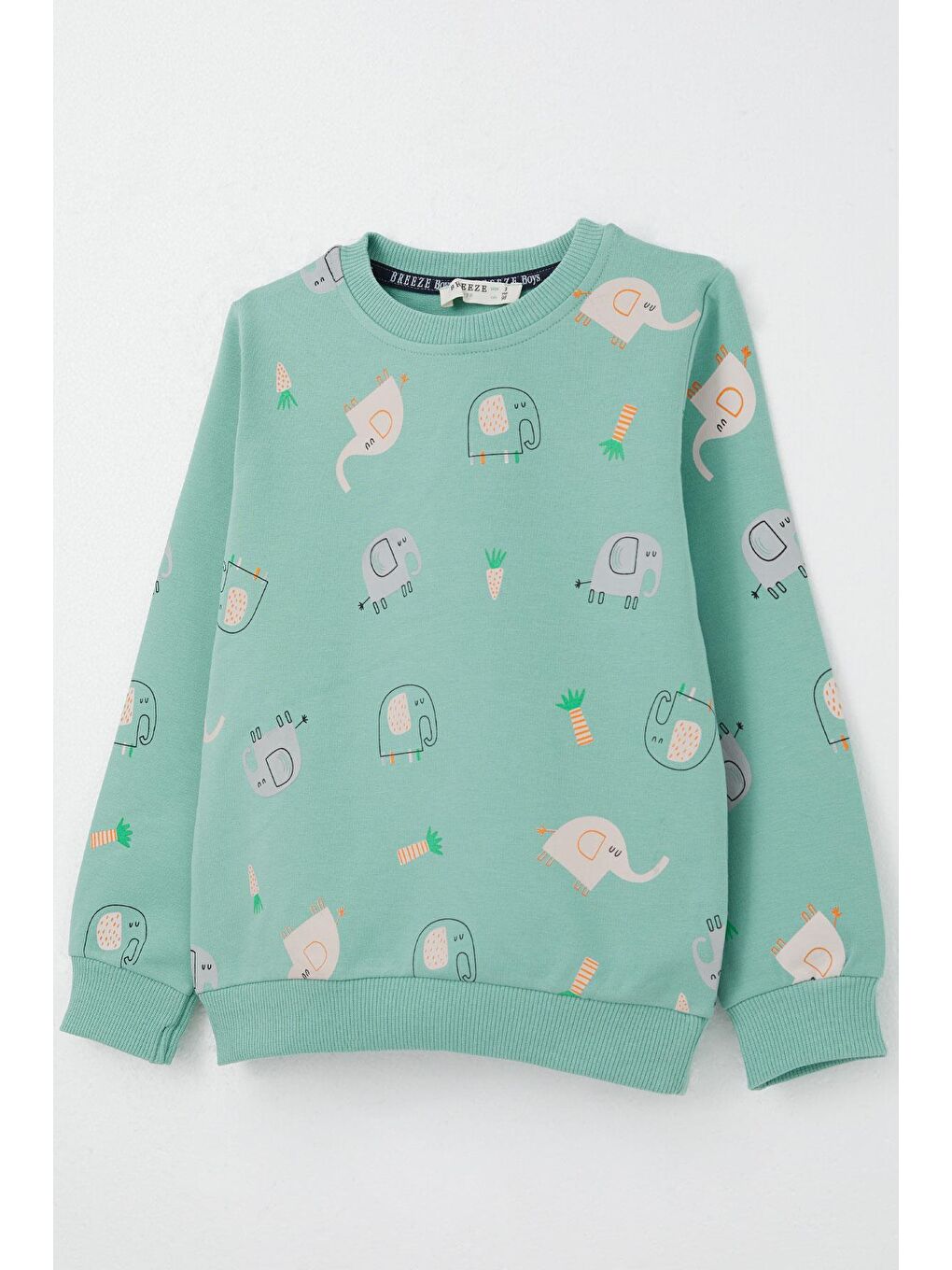 Turkuaz Erkek Çocuk Eşofman Takım Sevimli Fil Desenli Su Yeşili (1-2 Yaş)-9