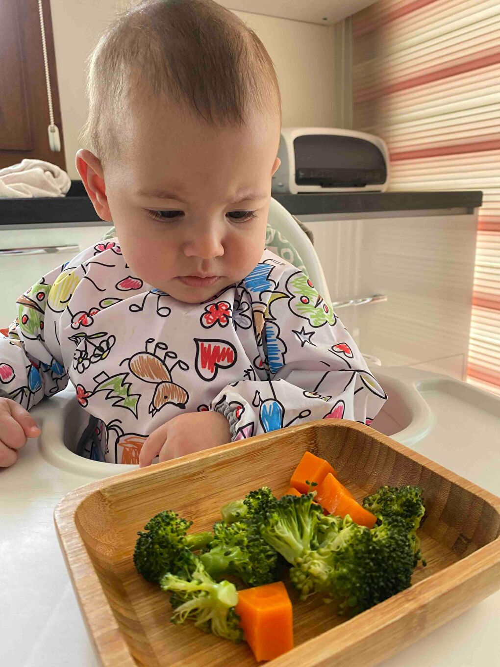 2-4yaş, Family, Uzun Kollu, Sıvı Geçirmez, Makinede Yıkanabilir, Cepli, Cırtlı Bebek Mama Önlüğü-5