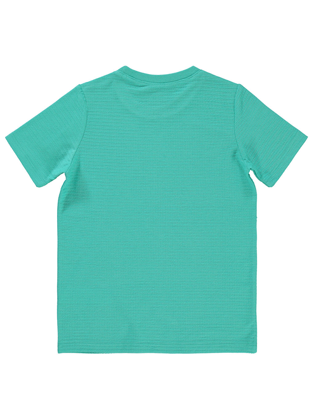Yeşil Boys Erkek Çocuk Tişört 6-9 Yaş Mint-1