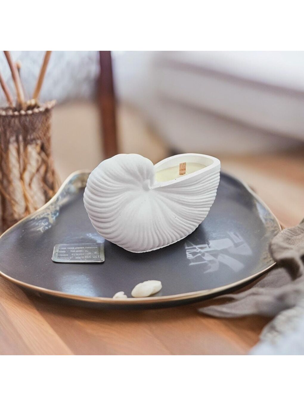 Beyaz Deniz Kabuğu Mum-3