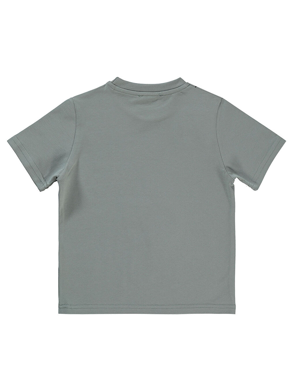 Boys Erkek Çocuk Tişört 2-5 Yaş Gri-2