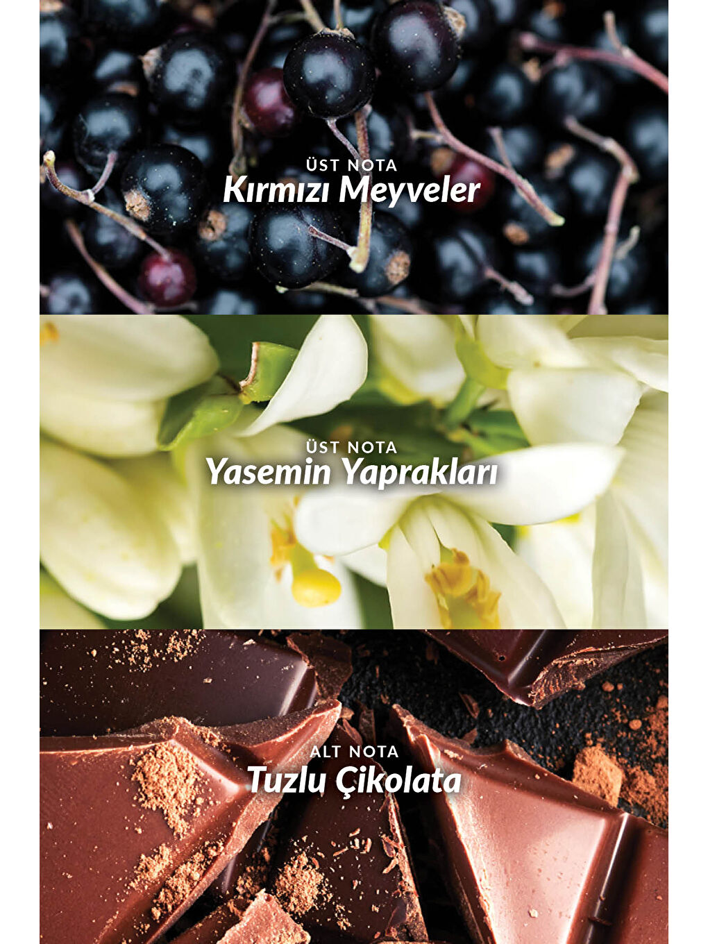 Far Away Rebel Kadın Parfüm Edp 10 Ml.-3