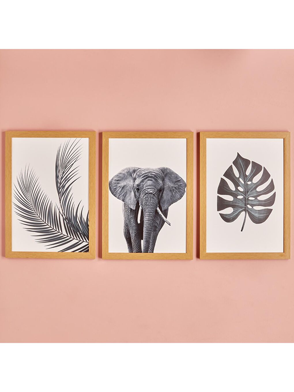 Kahverengi Leaf&Elephant  3'lü Çerçeveli Tablo Naturel