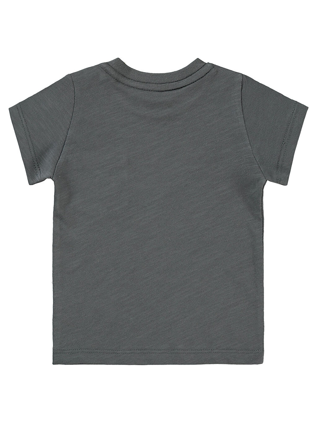 Gri Baby Erkek Bebek Tişört 6-18 Ay Füme-1