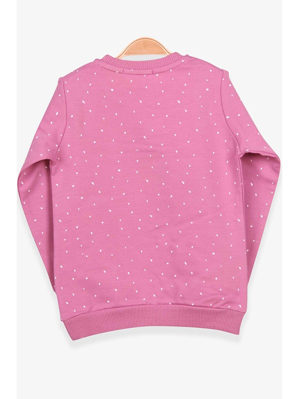 Pembe Kız Çocuk Sweatshirt Yazı Baskılı Desenli Gülkurusu (3 Yaş)-1