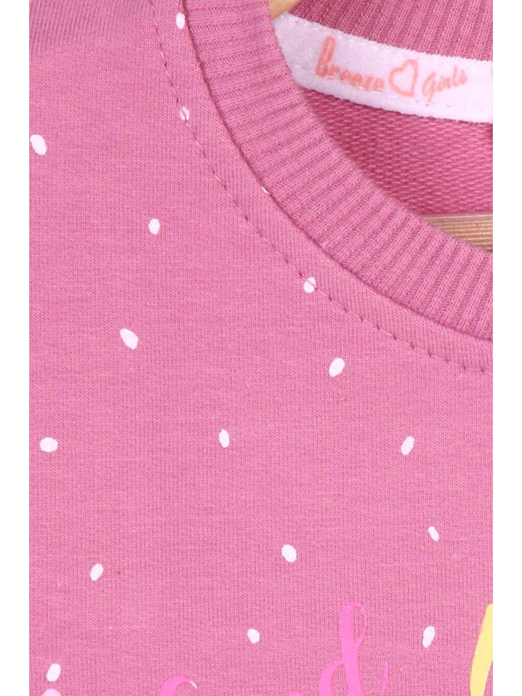 Pembe Kız Çocuk Sweatshirt Yazı Baskılı Desenli Gülkurusu (3 Yaş)-3