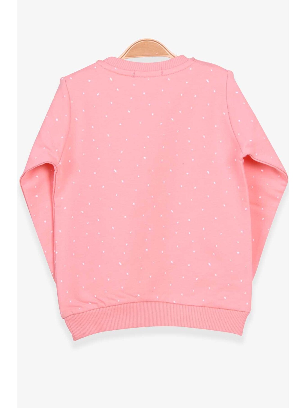 Pembe Kız Çocuk Sweatshirt Yazı Baskılı Desenli Somon (6 Yaş)-1