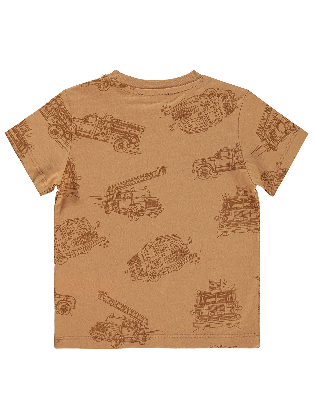 Kahverengi Boys Erkek Çocuk Tişört 2-5 Yaş Tarçın-1