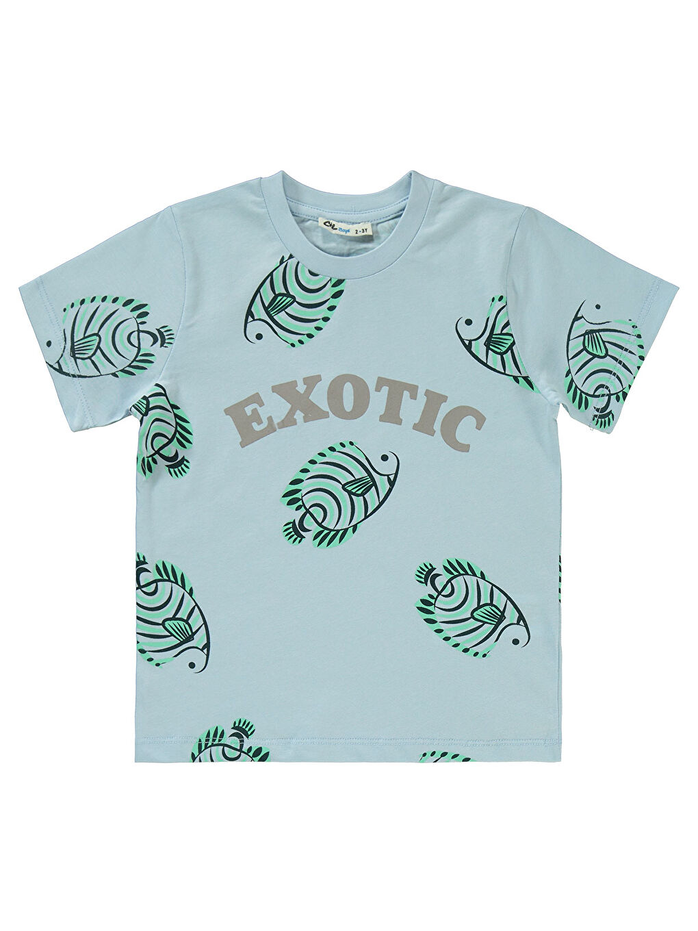 Boys Erkek Çocuk Takım 2-5 Yaş Mavi-2