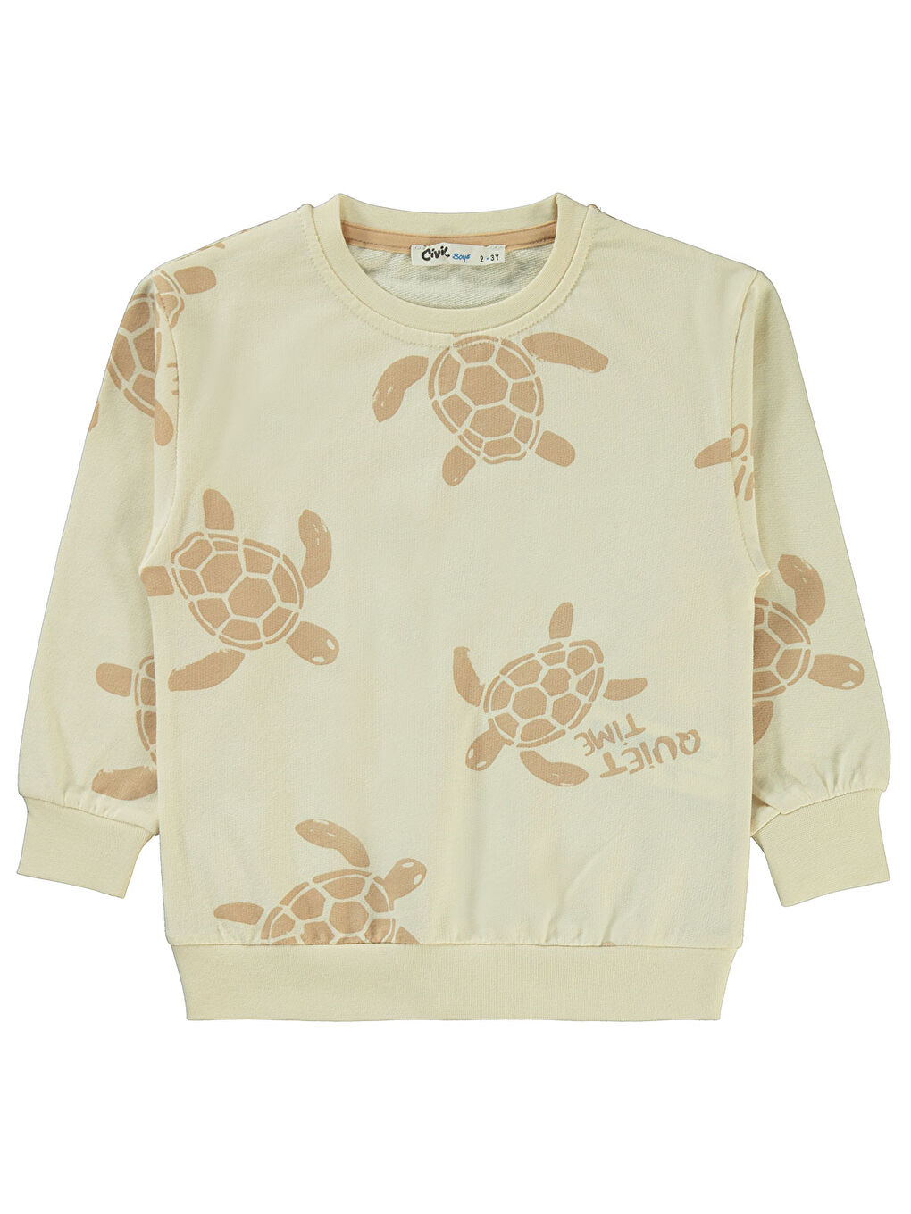 Bej Boys Erkek Çocuk Sweatshirt 2-5 Yaş Fil Dişi