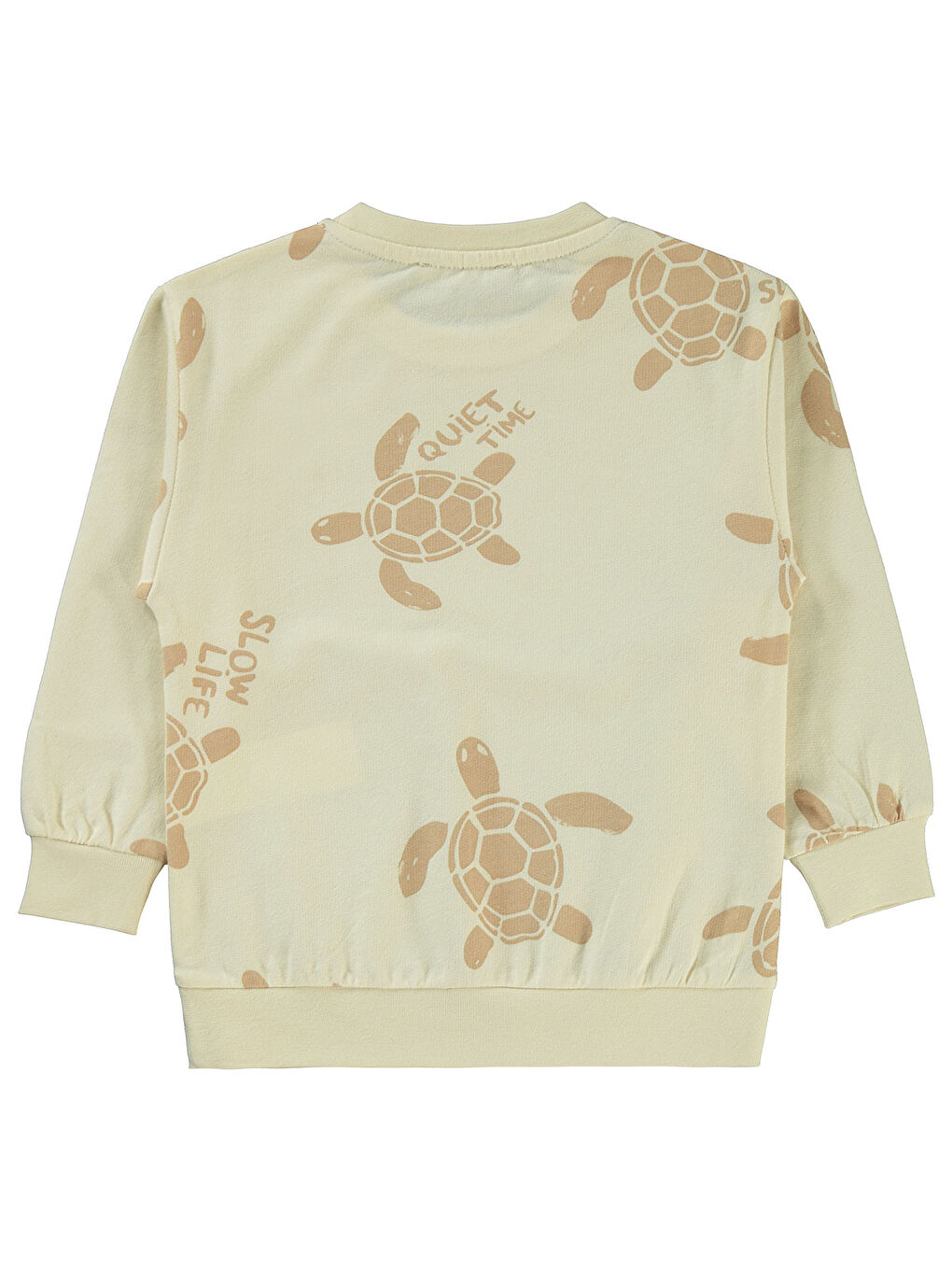 Bej Boys Erkek Çocuk Sweatshirt 2-5 Yaş Fil Dişi-1