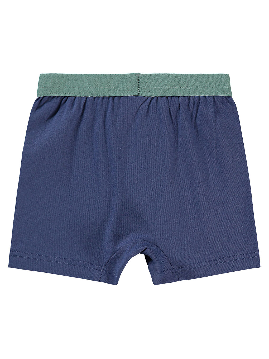 Baby Erkek Bebek Boxer 9-18 Ay Mavi-1