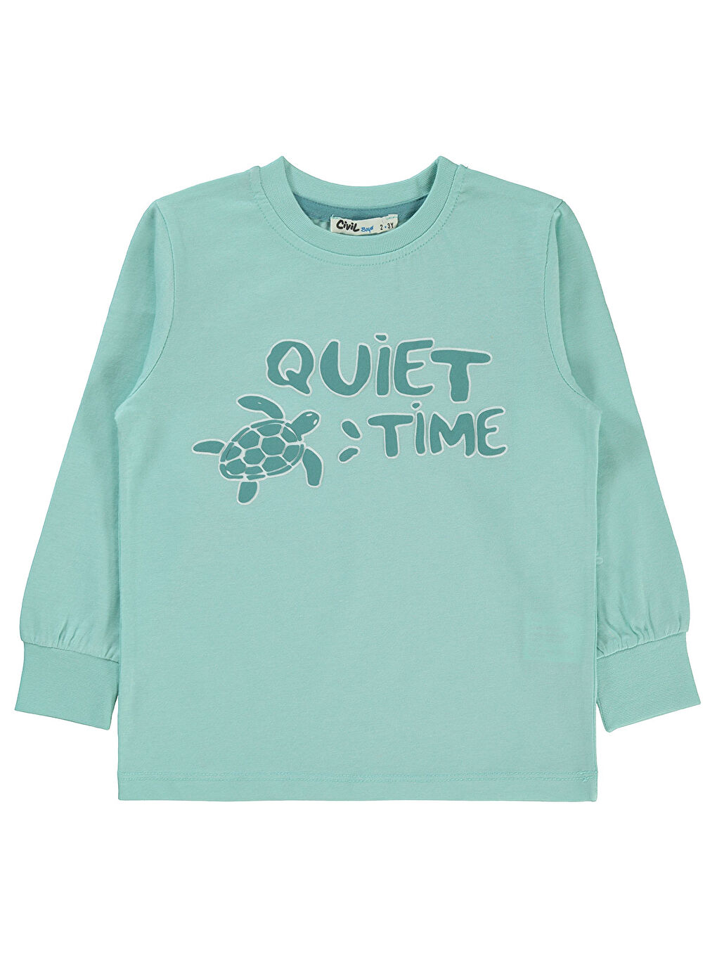 Boys Erkek Çocuk Sweatshirt 2-5 Yaş Turkuaz