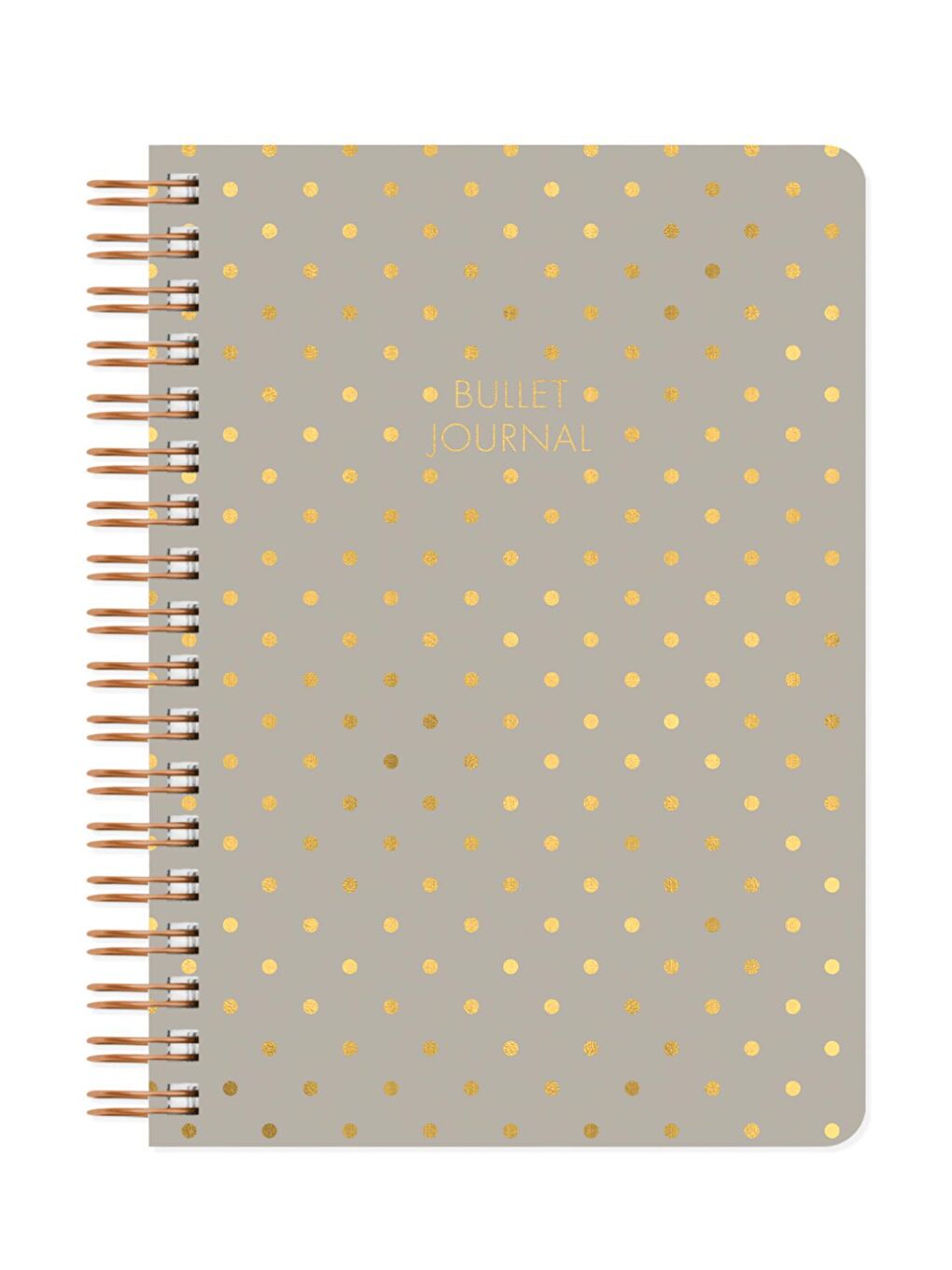 LE COLOR Gri Noktalı Bullet Journal Pro Defter Shine Kum 17x24