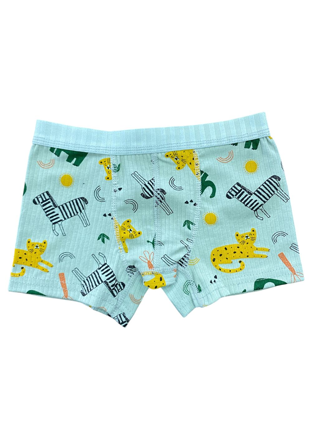 Karışık 6'lı Erkek Çocuk %100 Pamuk Fitilli Baskılı Yüksek Kaliteli Boxer-6