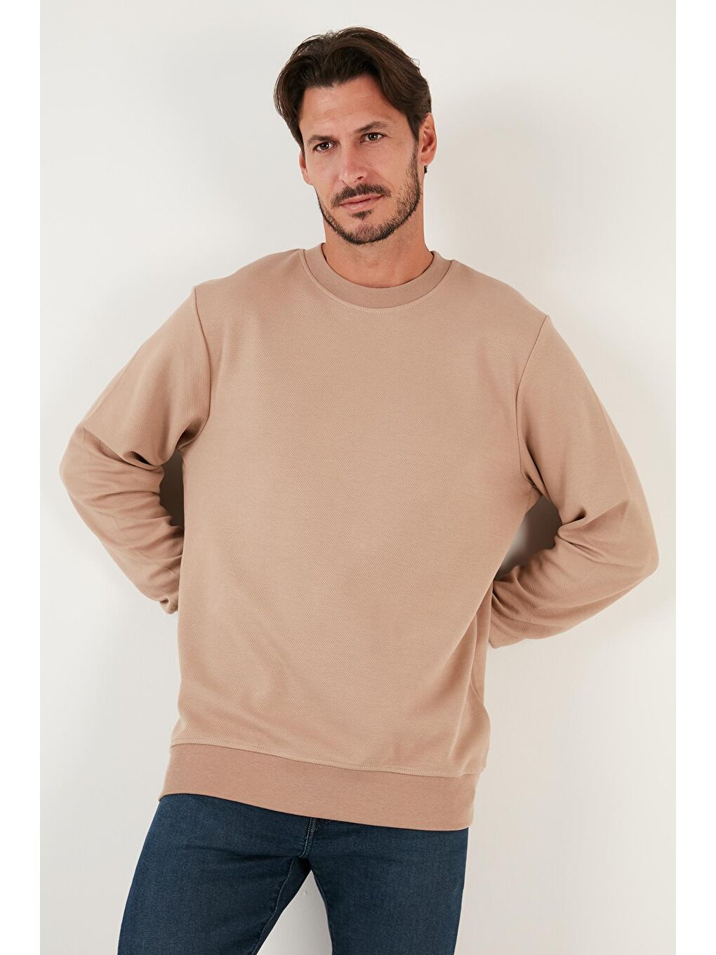 Buratti Vizon Pamuklu Bisiklet Yaka Regular Fit Basic Erkek Sweatshirt 5905521 - 2