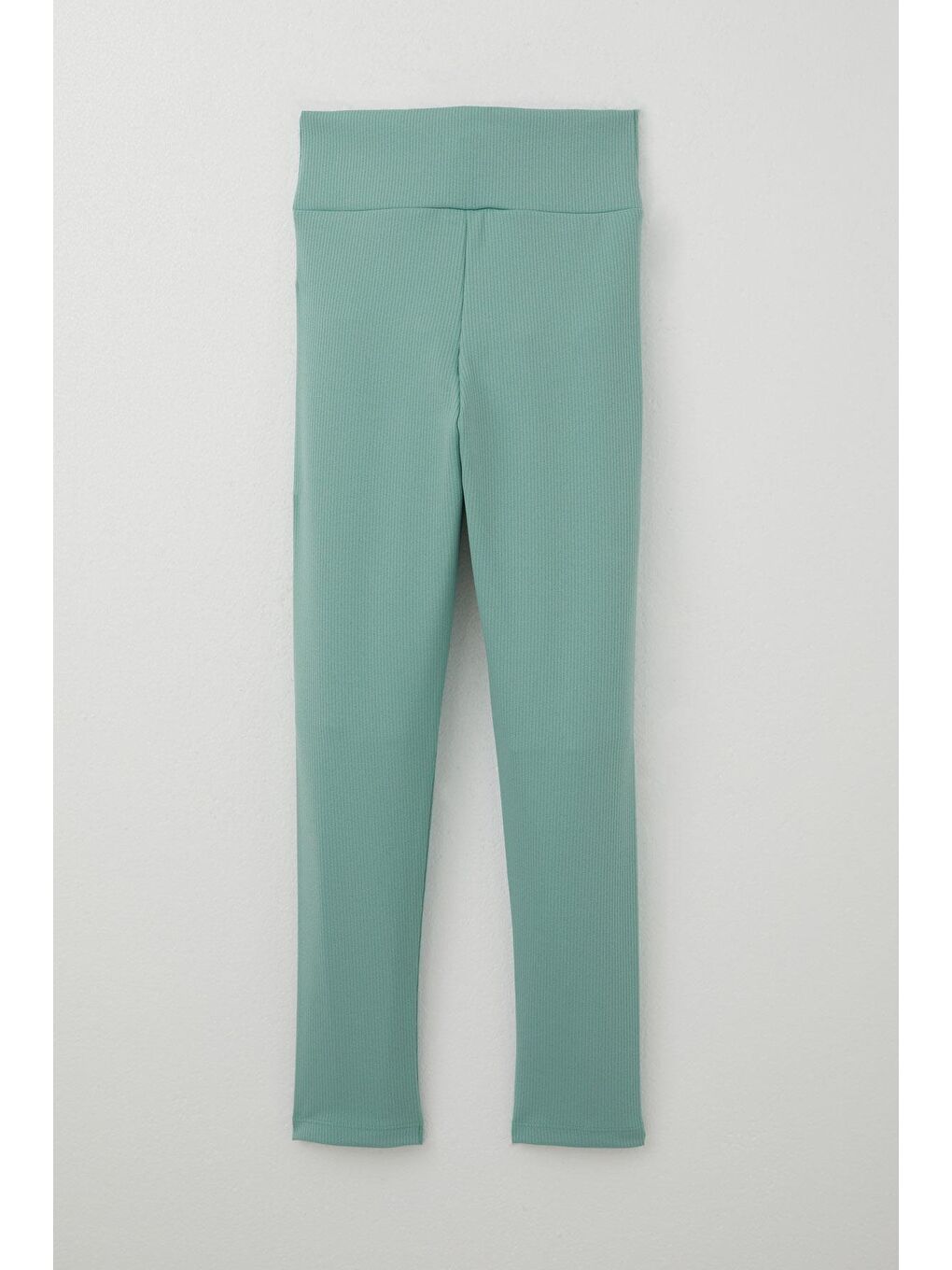 Turkuaz Kız Çocuk Tayt Yazılı Arma Baskılı Su Yeşili (9 Yaş)-1