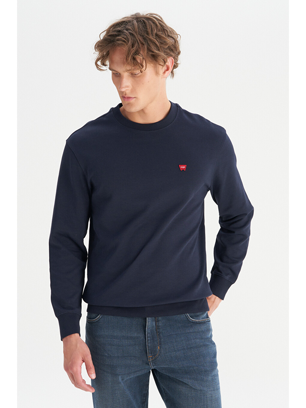 Lacivert Pamuklu Regular Fit Bisiklet Yaka Logo Detaylı Sweatshirt-2