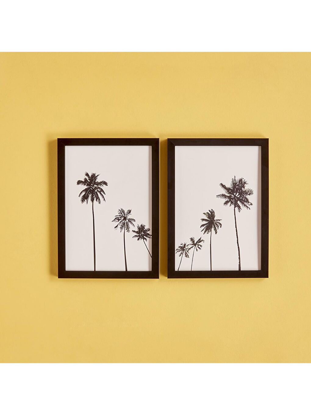 Palm 2'li Çerçeveli Tablo Siyah