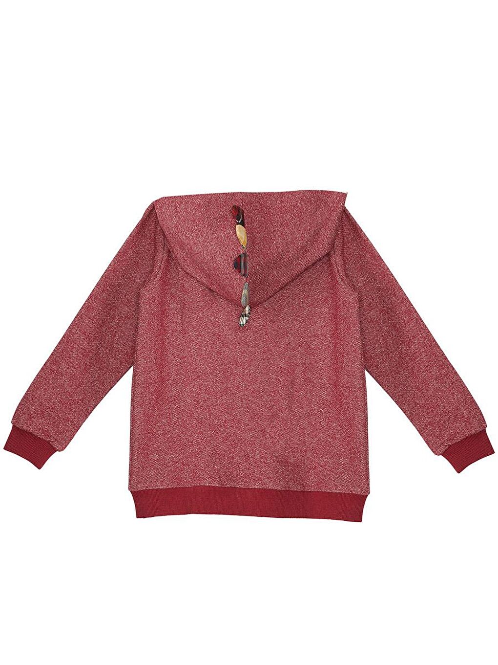 Denokids Bordo Ejderha Erkek Çocuk Kapüşonlu Sweatshirt - 3