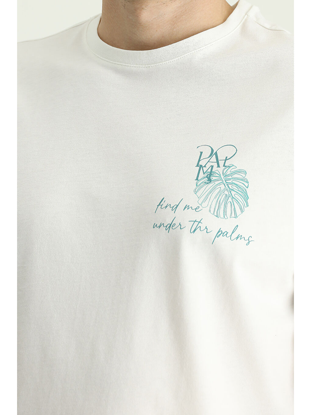 Ekru Bisiklet Yaka Regular Fit Baskılı Süprem Pamuk %100 Pamuk Tişört-5