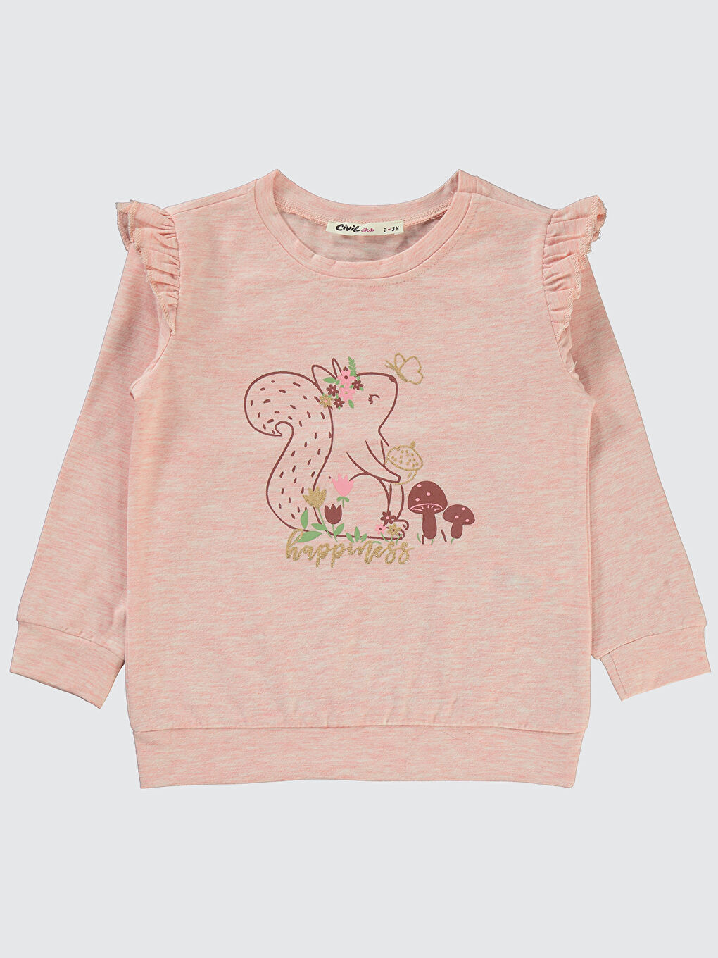 Girls Kız Çocuk Sweatshirt 2-5 Yaş Pembemelanj