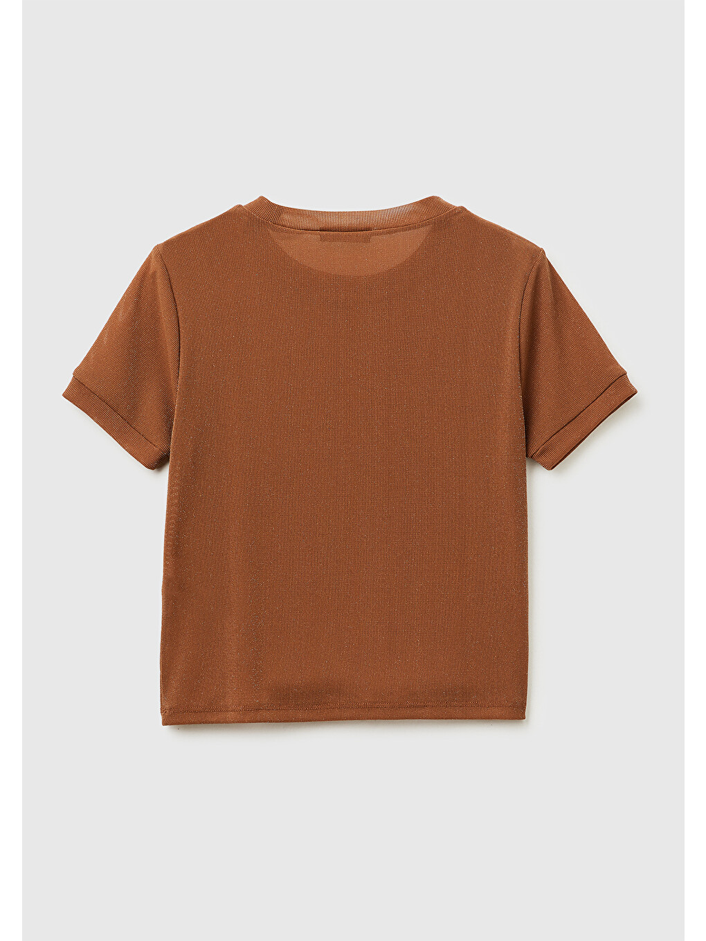 Kadın Koyu Kahverengi Simli Bisiklet Yaka Slim Fit T-shirt-3