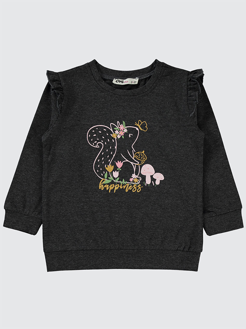Girls Kız Çocuk Sweatshirt 2-5 Yaş Antrasit