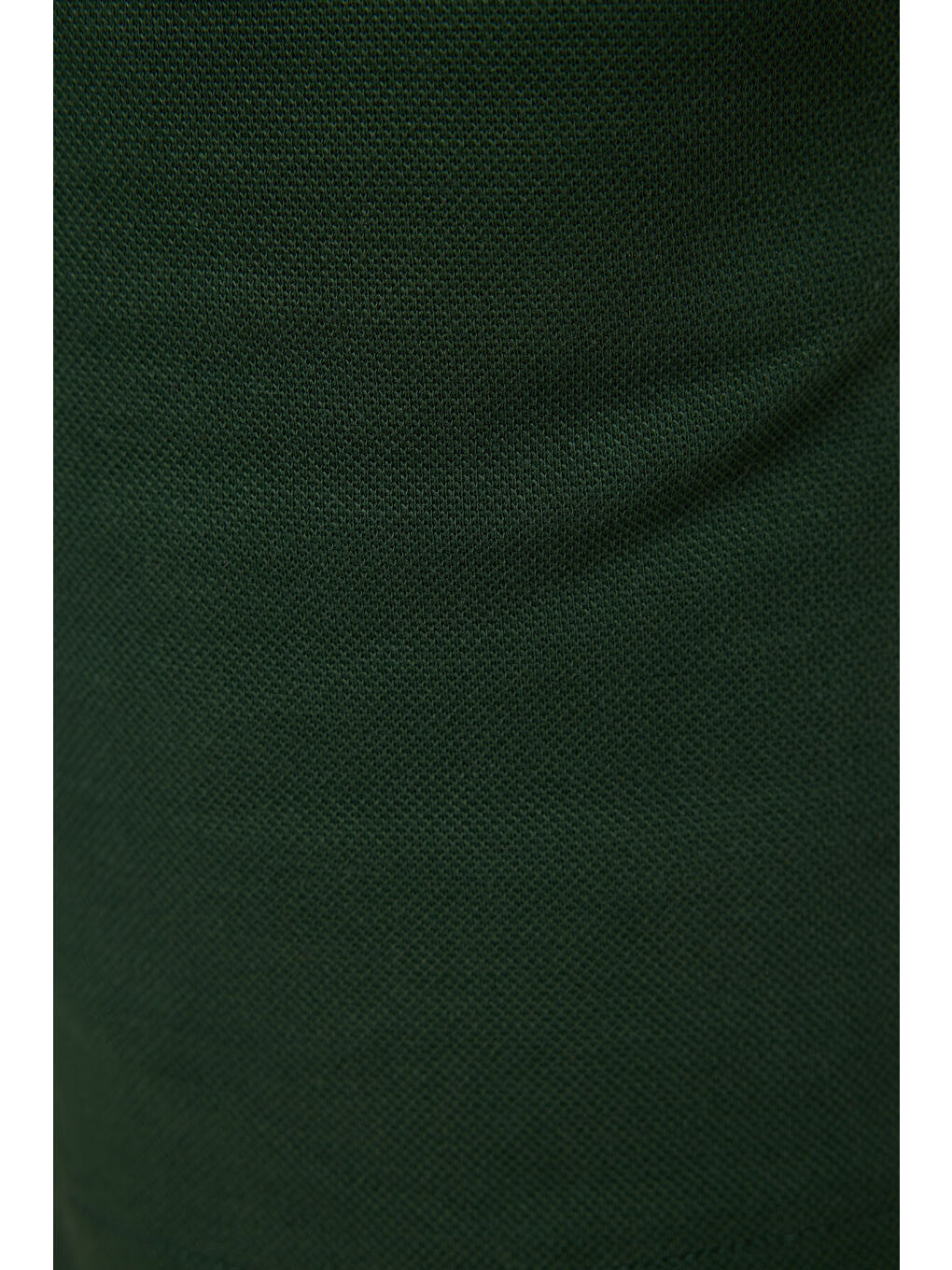 Çam Yeşili Pamuklu Yumuşak Dokulu Standart Fit Basic Erkek Çocuk Şort - 11293-2