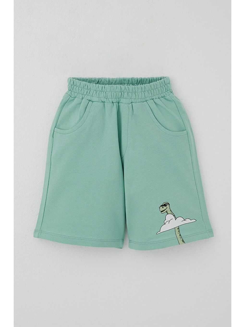 Erkek Çocuk Şortlu Takım Maceracı Dinozor Baskılı Beyaz (2-6 Yaş)-6