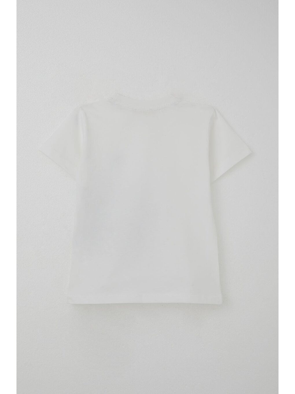 Erkek Çocuk Şortlu Takım Maceracı Dinozor Baskılı Beyaz (2-6 Yaş)-7