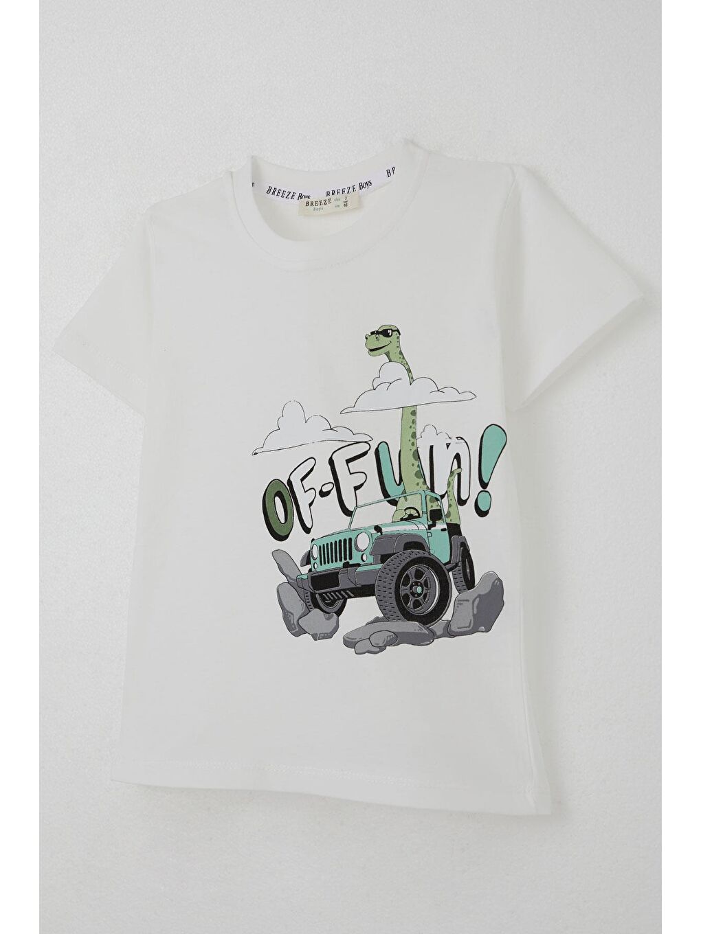 Erkek Çocuk Şortlu Takım Maceracı Dinozor Baskılı Beyaz (2-6 Yaş)-9