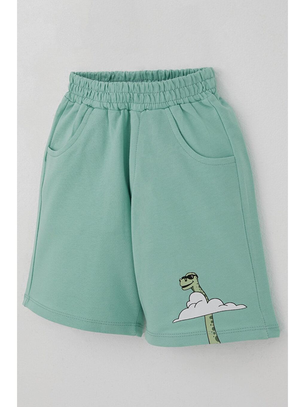 Erkek Çocuk Şortlu Takım Maceracı Dinozor Baskılı Beyaz (2-6 Yaş)-10