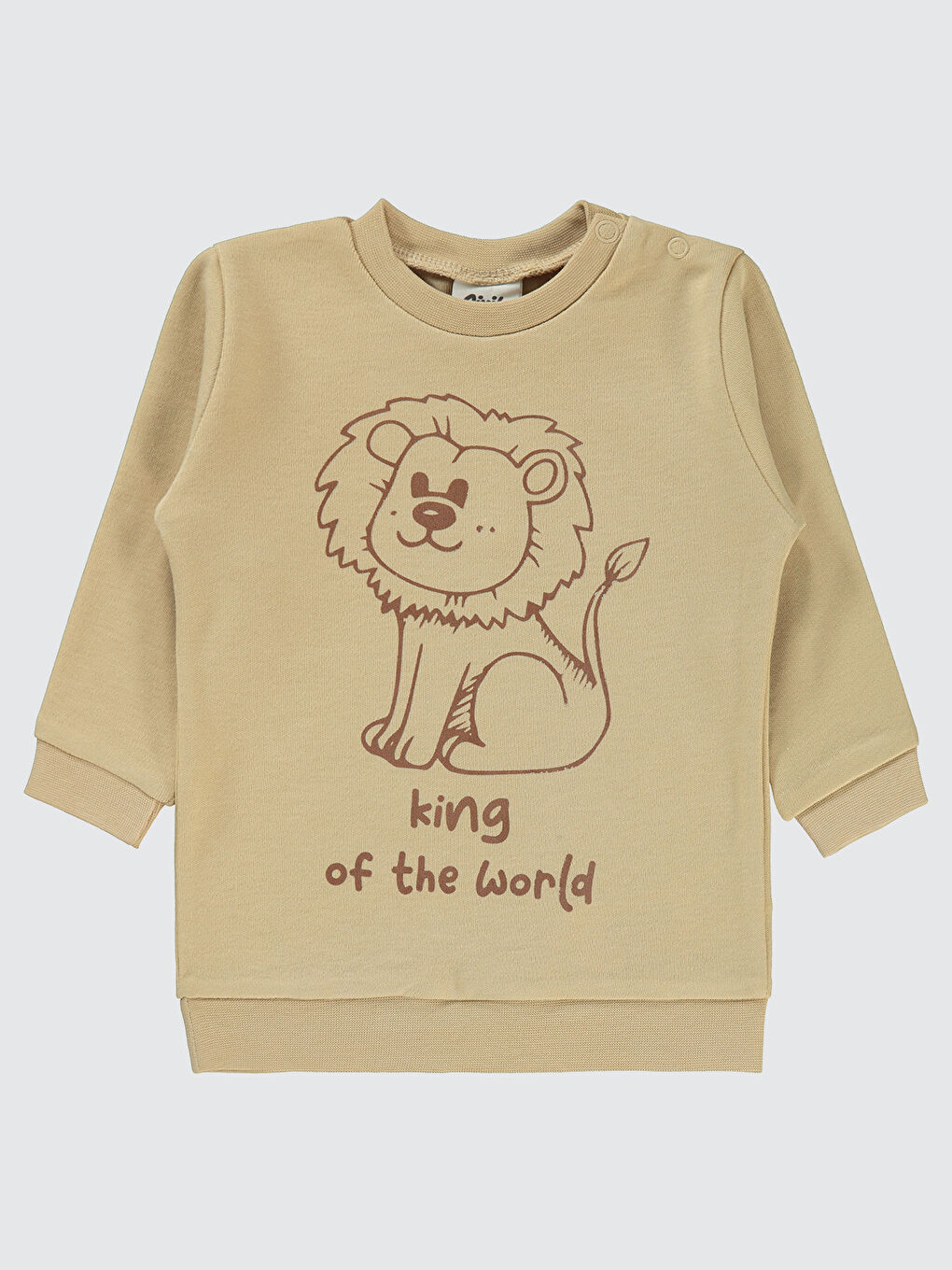 Kahverengi Baby Erkek Bebek Sweatshirt 6-18 Ay Sütlü Kahve