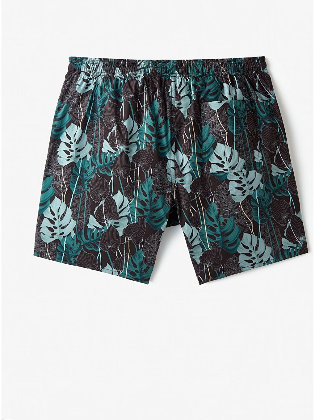 Siyah Erkek Regular Fit Desenli Deniz Şortu-5