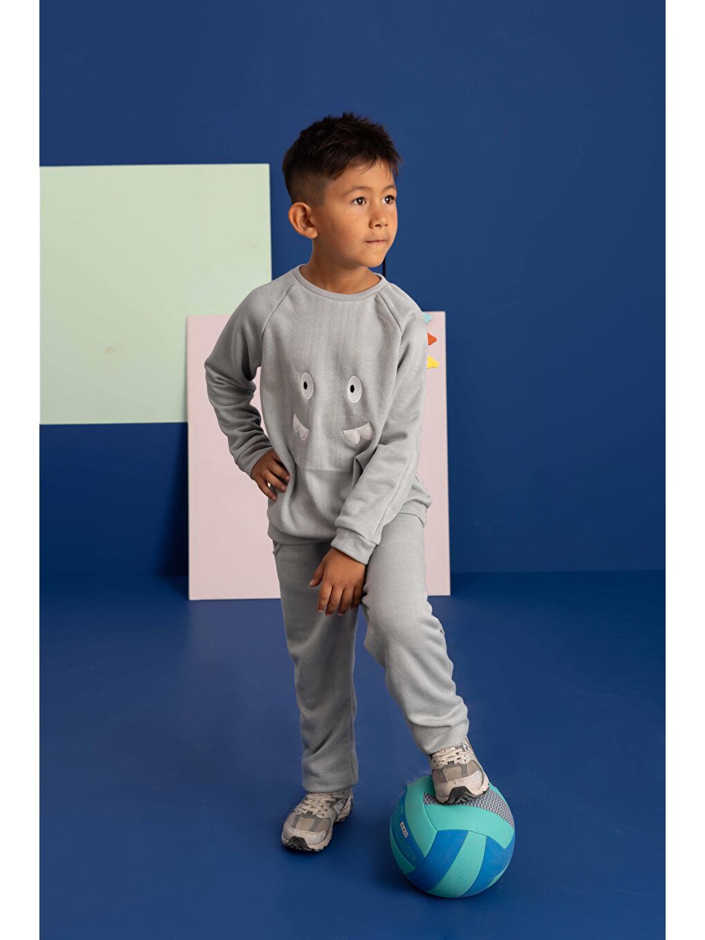 Gri Erkek Çocuk Dinozor Nakışlı Pamuklu Alt Üst Takım  2 3 yaş 6 7 Yaş