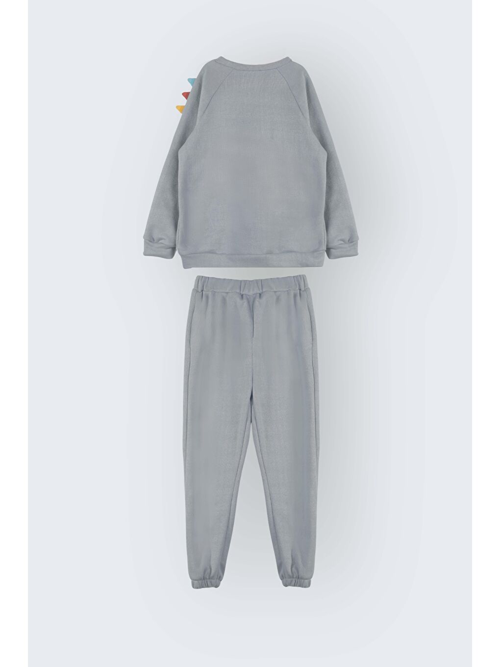 Gri Erkek Çocuk Dinozor Nakışlı Pamuklu Alt Üst Takım  2 3 yaş 6 7 Yaş-3