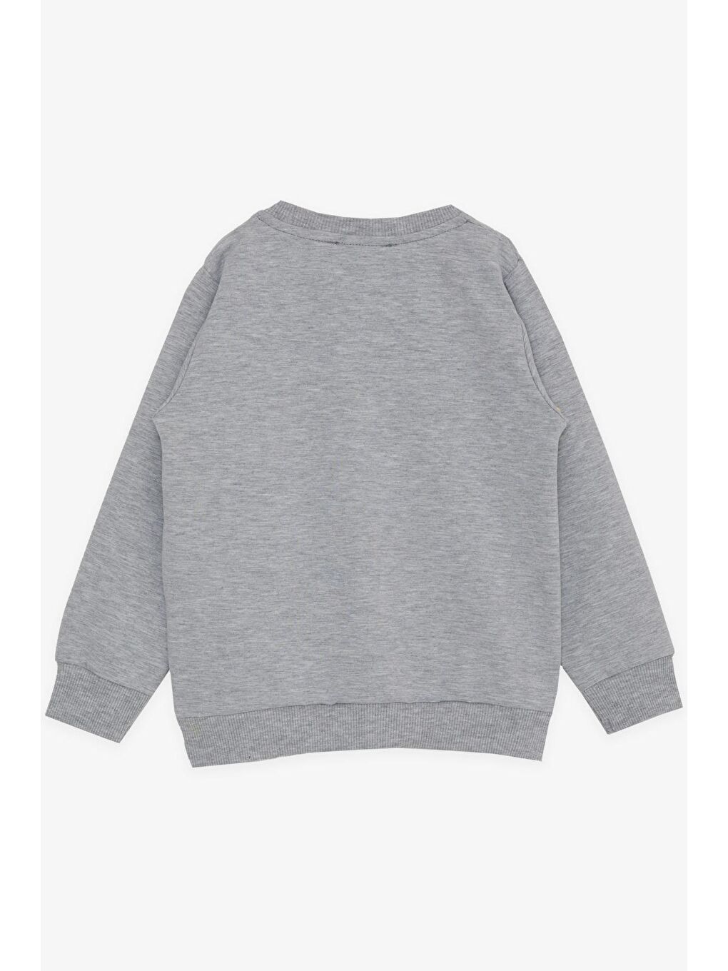 Kız Çocuk Sweatshirt Kelebek Baskılı Açık Gri Melanj (3-8 Yaş)-1