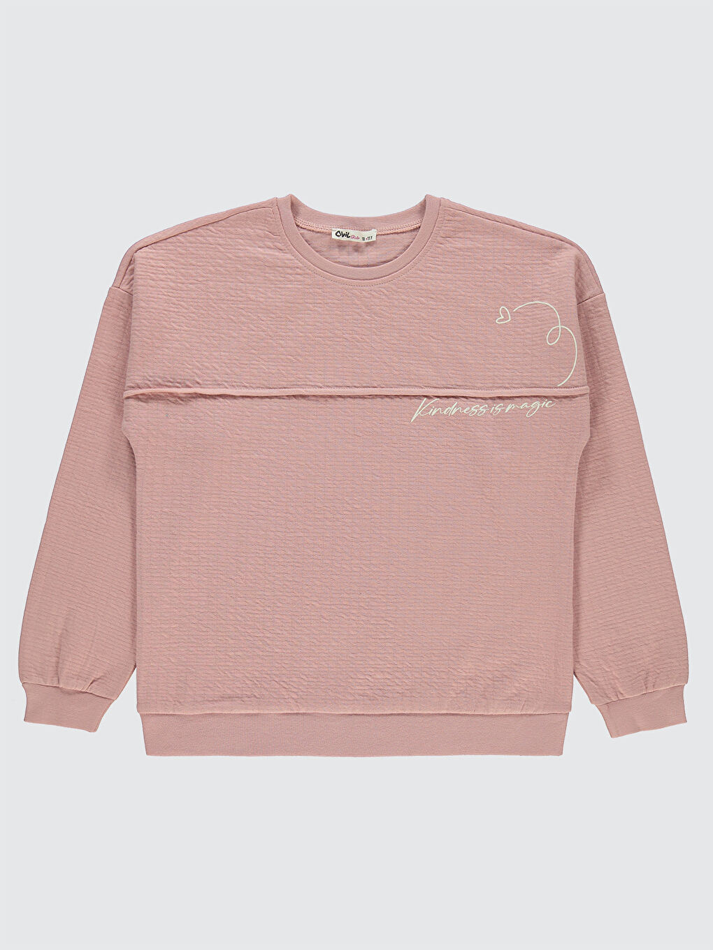 Pembe Girls Kız Çocuk Sweatshirt 10-13 Yaş Pudra