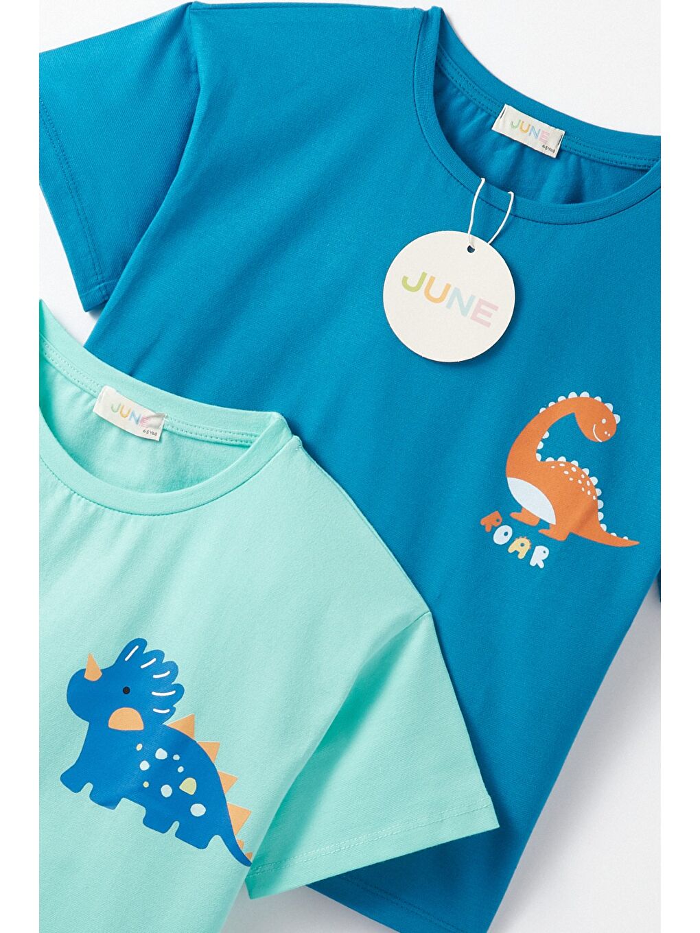 İndigo Çocuk 2li Baskılı Tişört-3