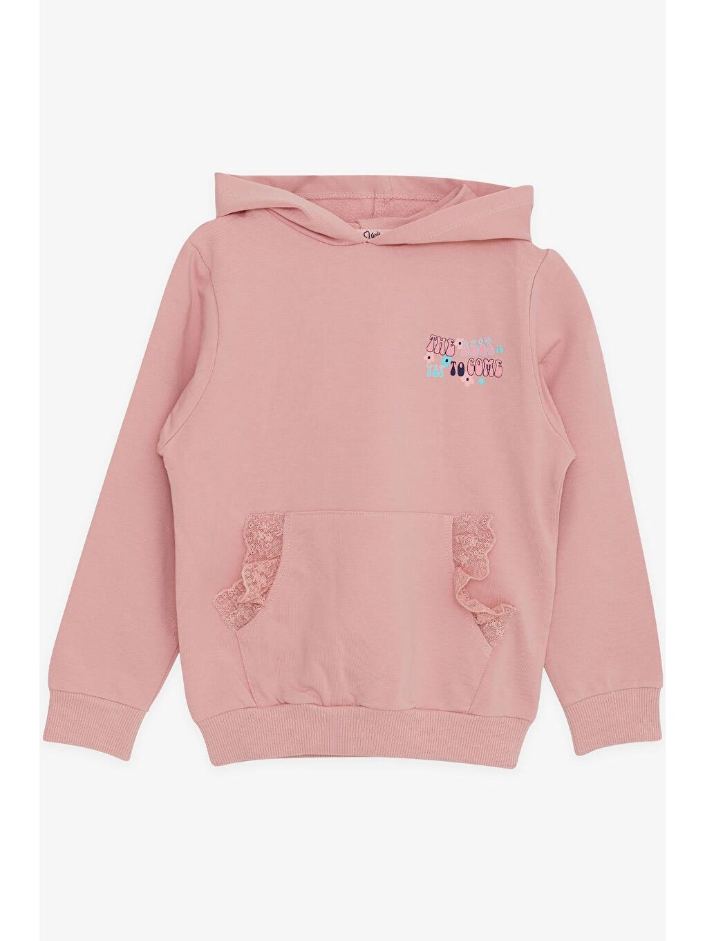 Pembe Kız Çocuk Sweatshirt Kanguru Cepli Yazı Baskılı Güpürlü Gülkurusu (3-6 Yaş)
